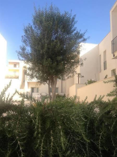Cala Palme Apartment Lampedusa
